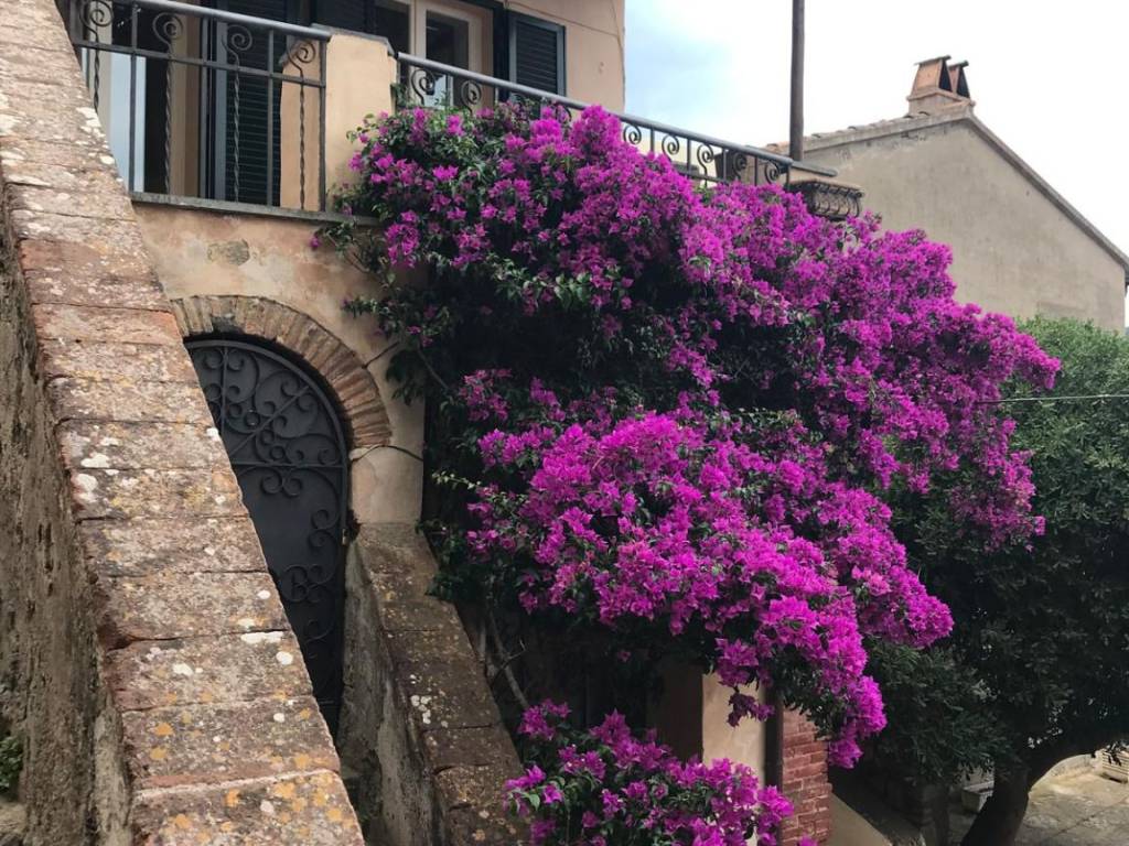 Appartamento a Monte argentario in Via dei Cannoni - Foto 4