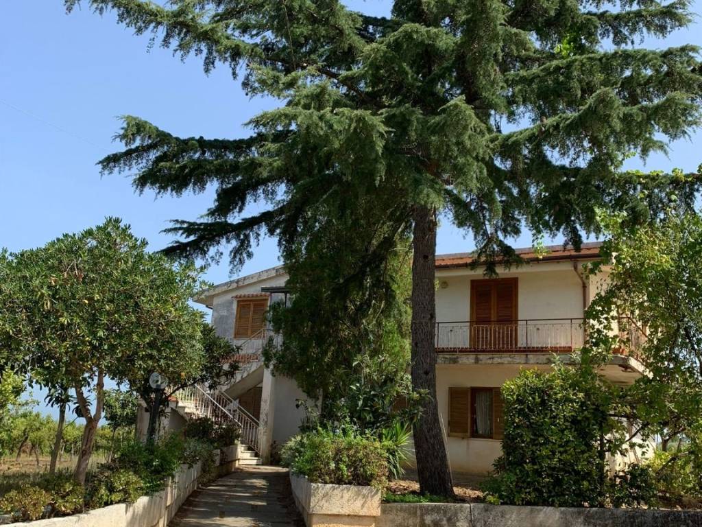 Villa a Zambrone - Foto 5