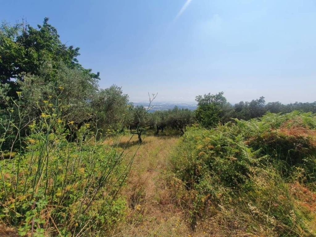 Terreno a Montecorvino rovella - Foto 2