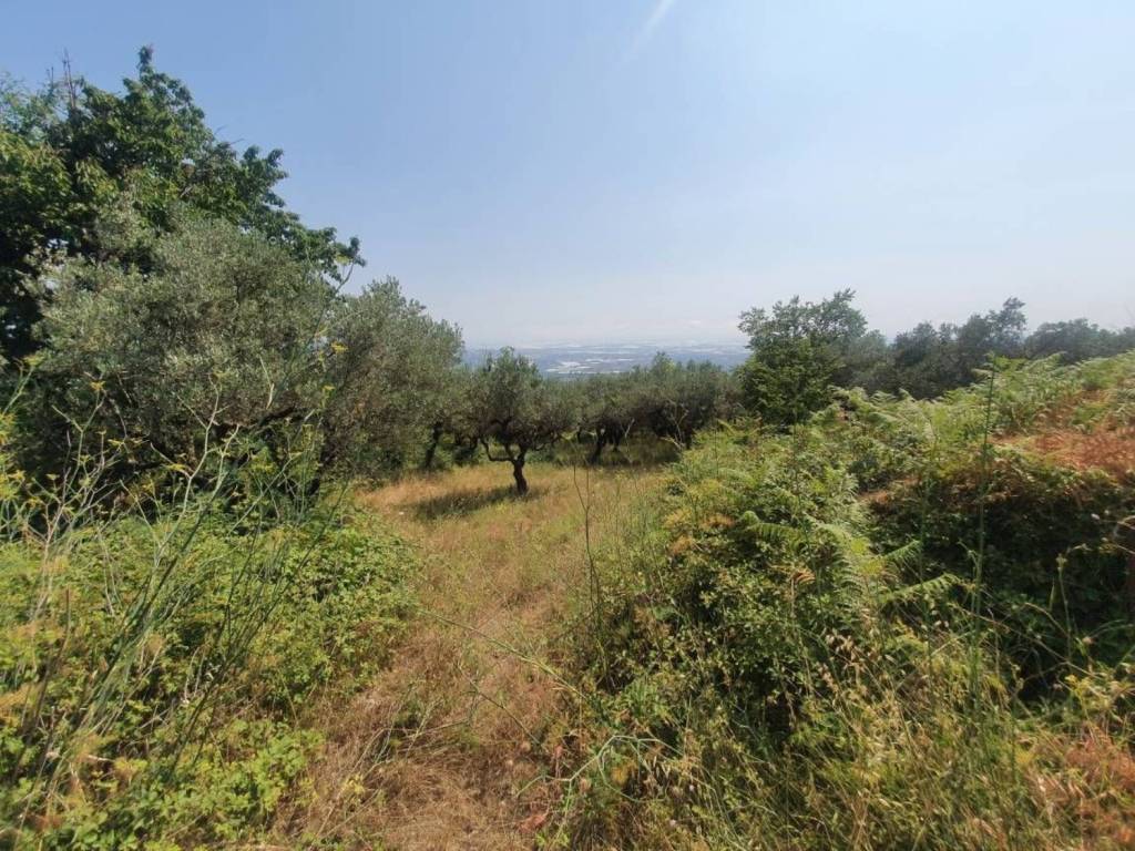 Terreno a Montecorvino rovella - Foto 3
