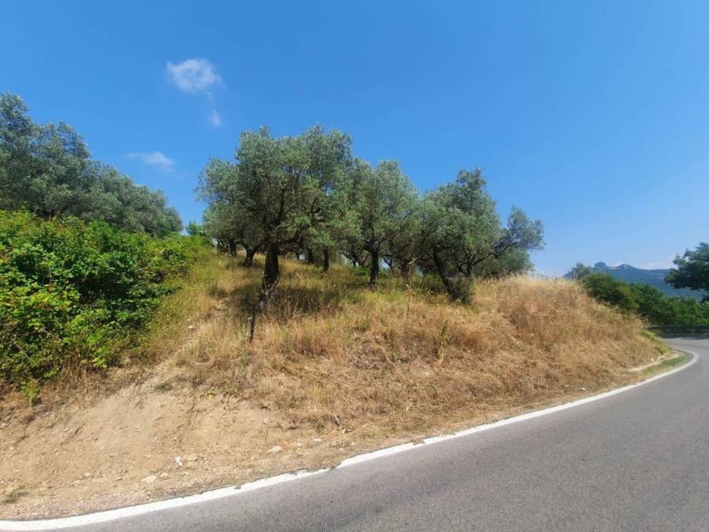Terreno a Montecorvino rovella - Foto 4