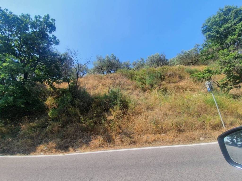 Terreno a Montecorvino rovella - Foto 5