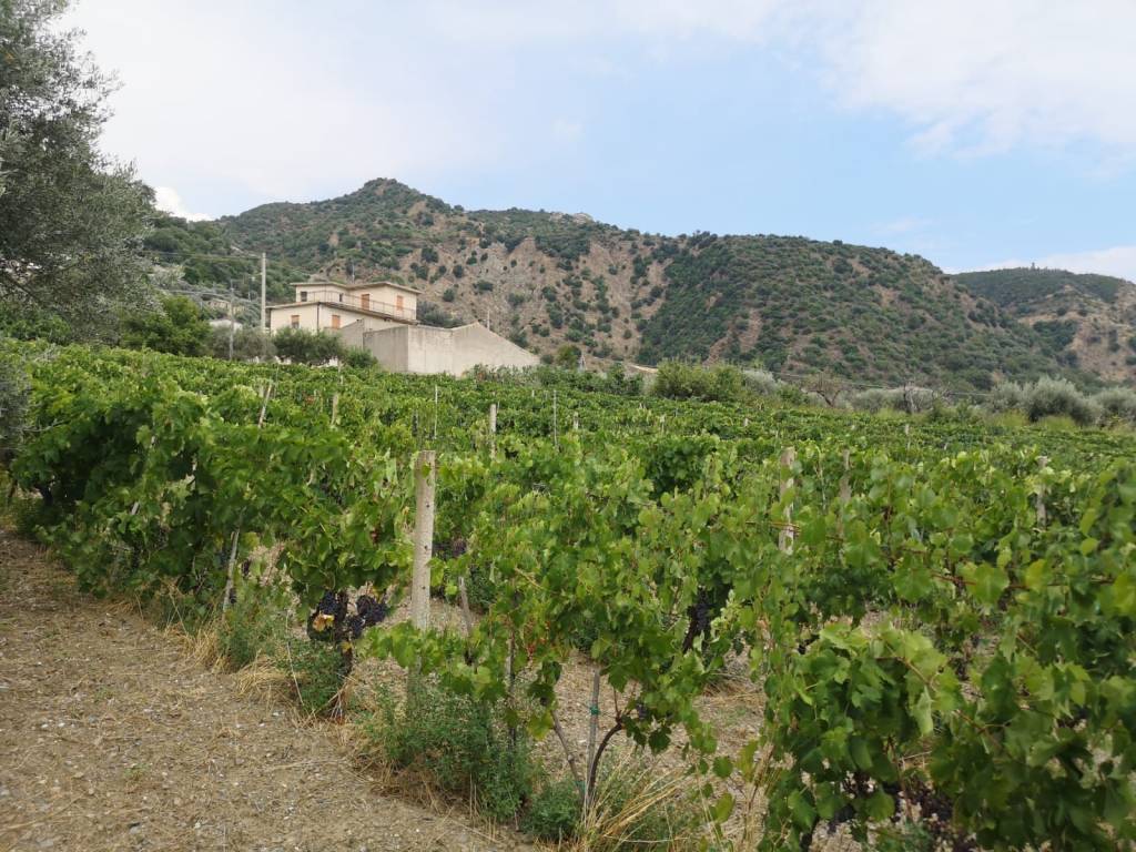 Terreno a Gioiosa ionica in Via Lazio - Foto 2