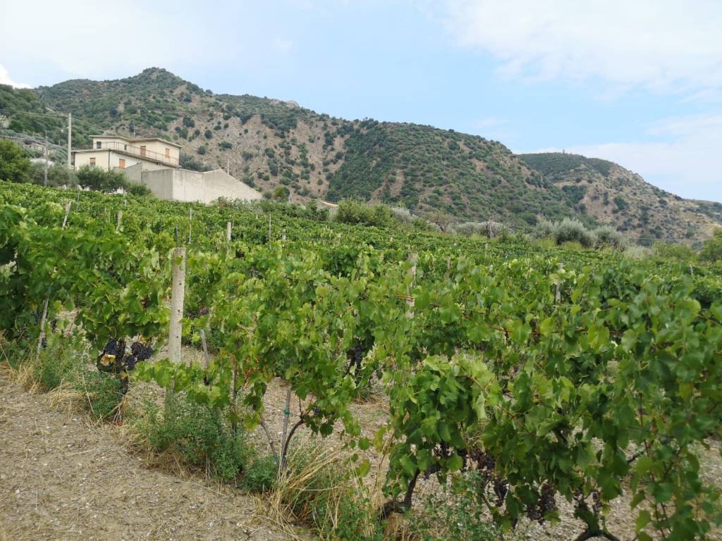 Terreno a Gioiosa ionica in Via Lazio - Foto 3