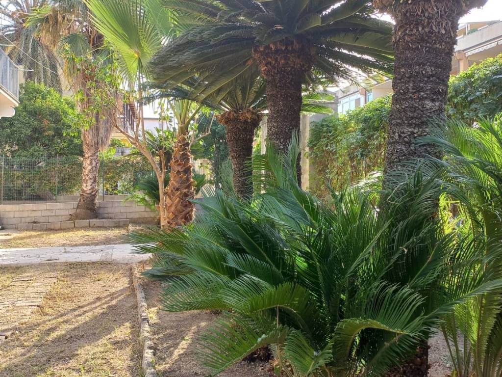 Appartamento a Ricadi in Via Roma, 120 - Foto 2