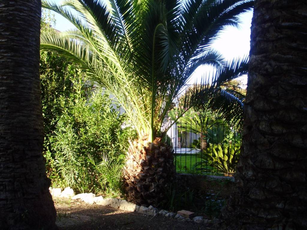 Appartamento a Ricadi in Via Roma, 120 - Foto 3