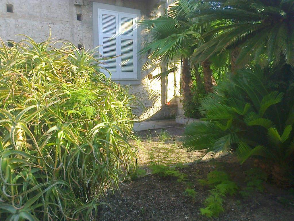 Appartamento a Ricadi in Via Roma, 120 - Foto 4