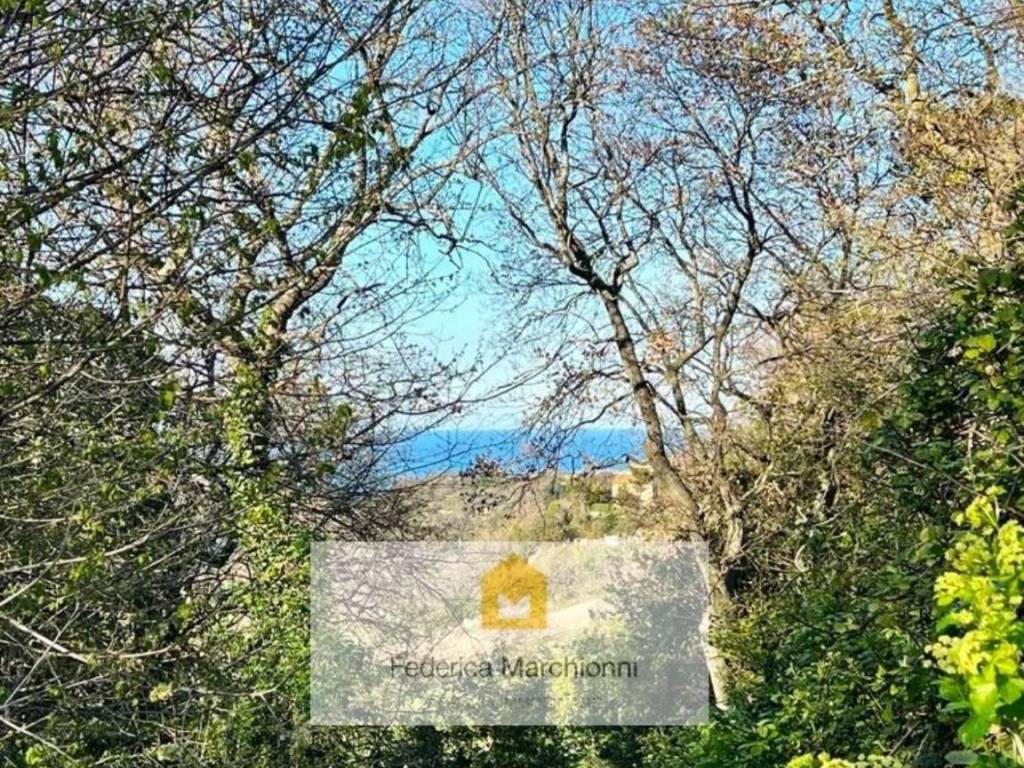 Rustico / casale a Altidona - Foto 3