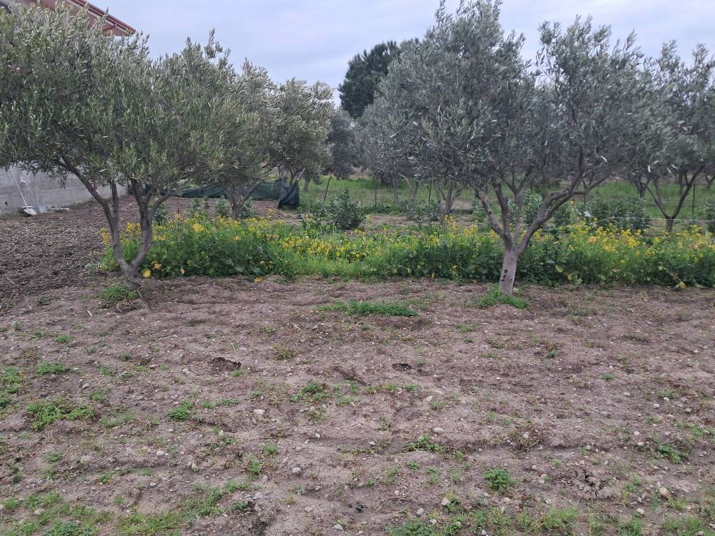 Villa a Sellia marina in Località Chiaro - Foto 4