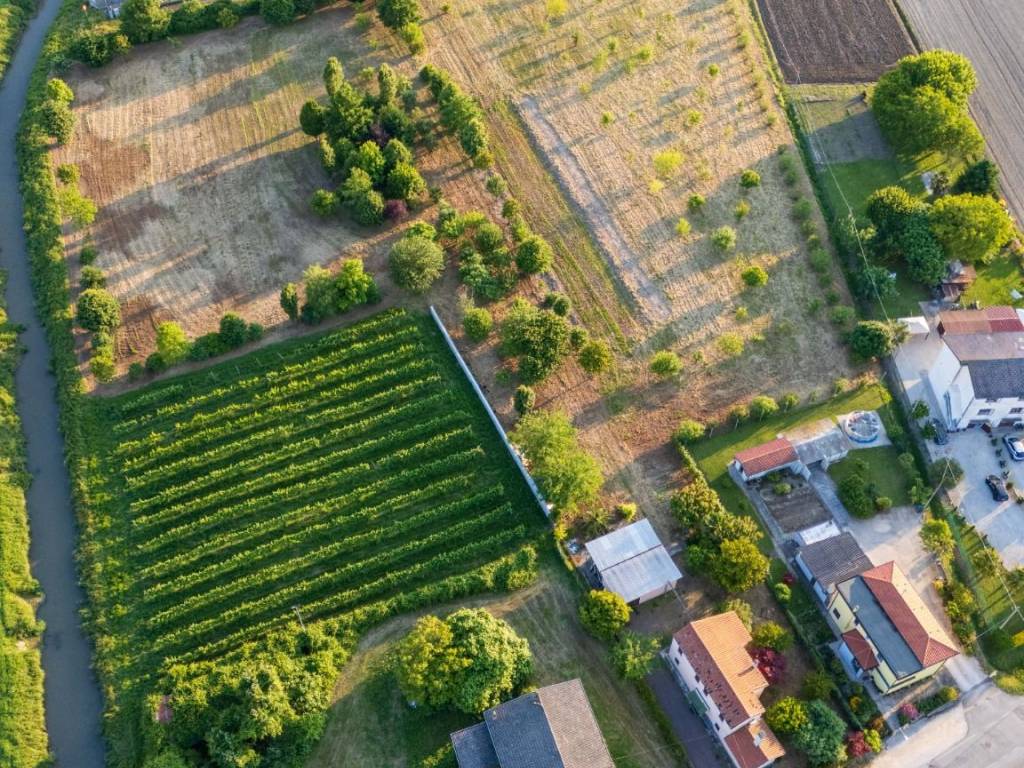 Casa indipendente a Musile di piave in Via Piave, 1 - Foto 2