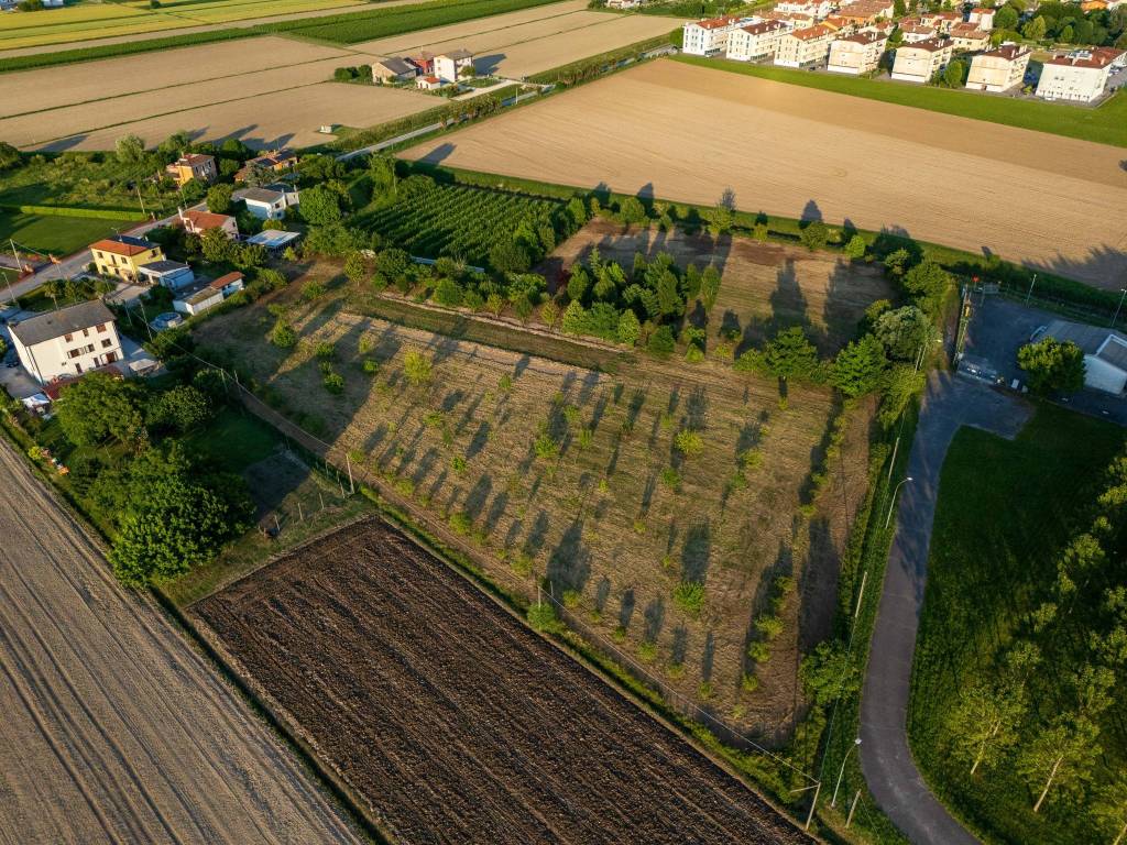 Casa indipendente a Musile di piave in Via Piave, 1 - Foto 3