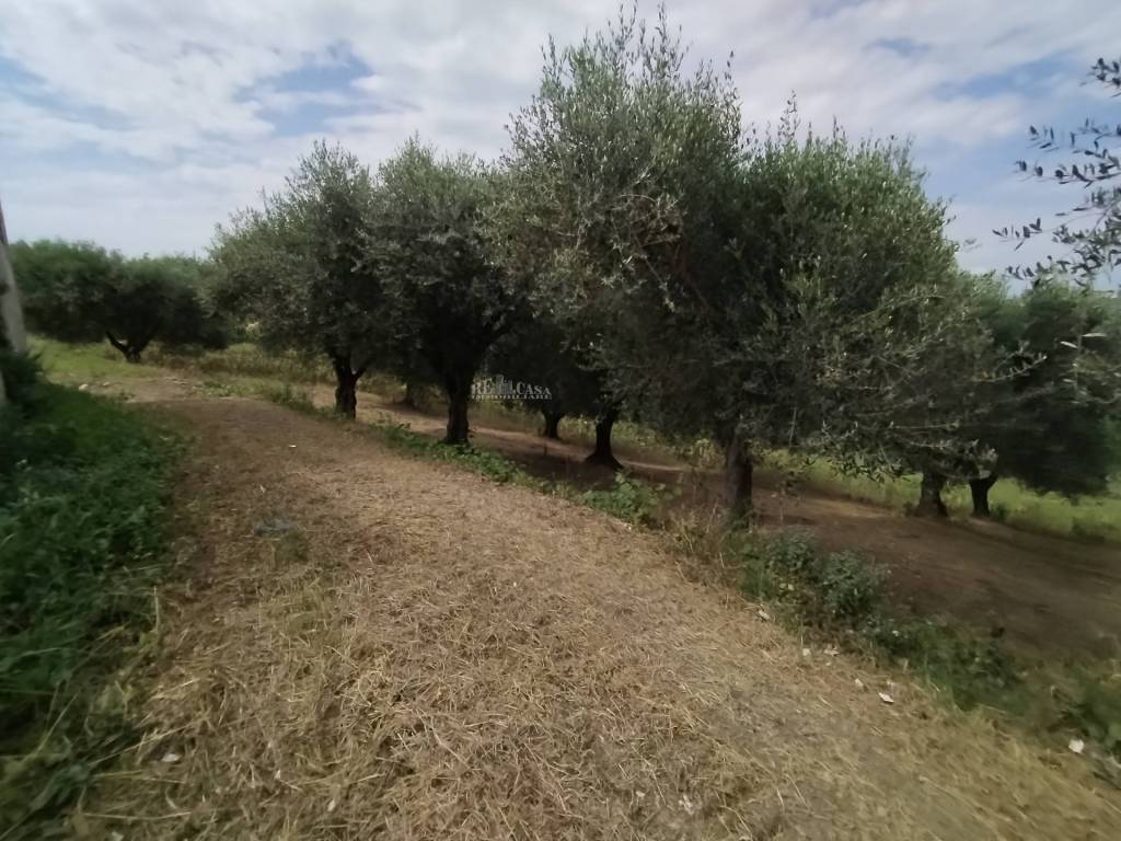 Rustico / casale a Monteprandone in contrada spiagge, 23 - Foto 4