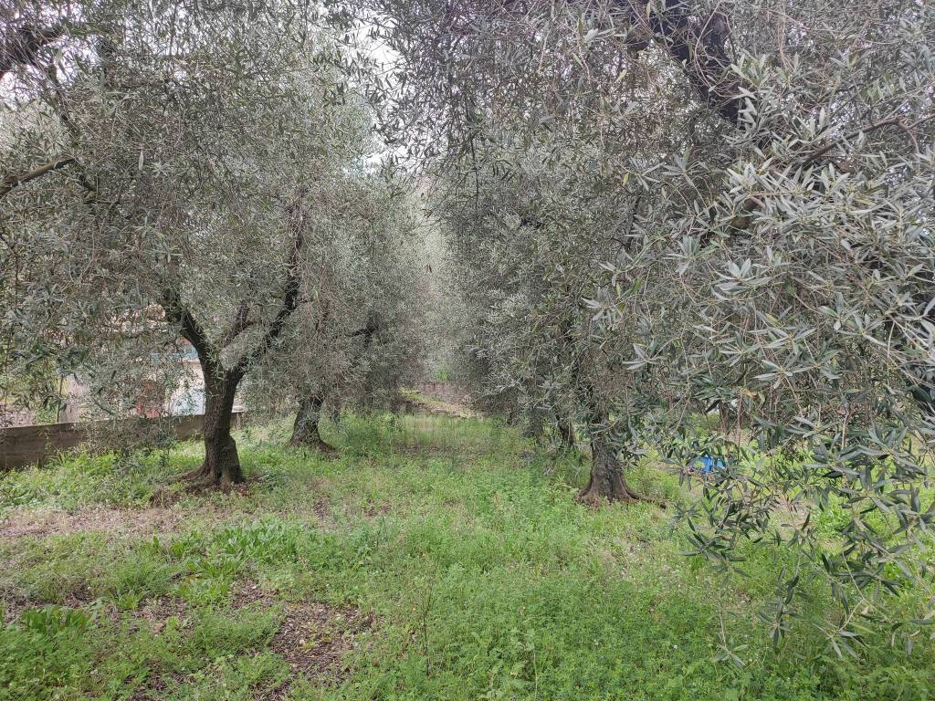 Terreno a Gaeta in Via Sant'Angelo, 23 - Foto 3