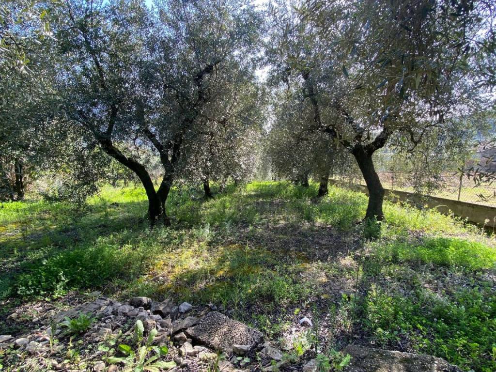 Terreno a Gaeta in Via Sant'Angelo, 23 - Foto 4