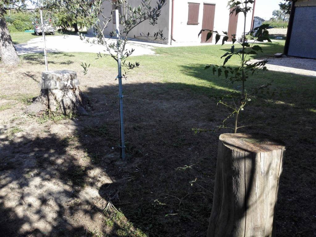 Villa a Lugo in Carrara Cimitero San Lorenzo - Foto 5