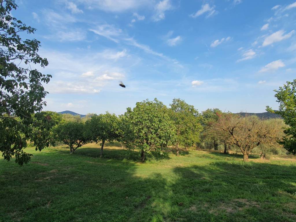 Rustico / casale a Baone in Via Capitello - Foto 3