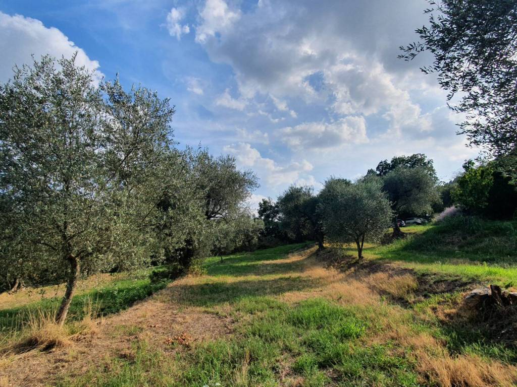 Rustico / casale a Baone in Via Capitello - Foto 4