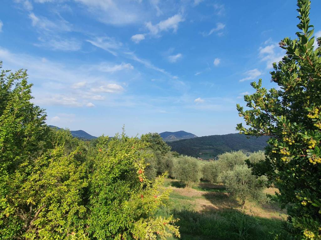 Rustico / casale a Baone in Via Capitello - Foto 5