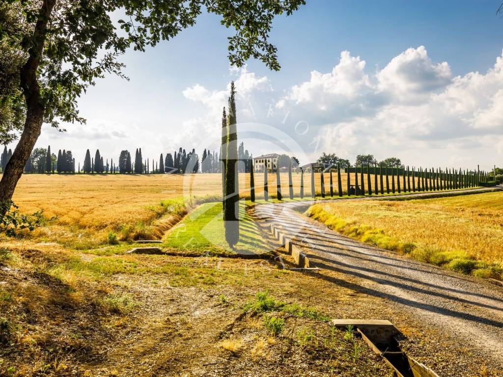 Villa a Montepulciano - Foto 5
