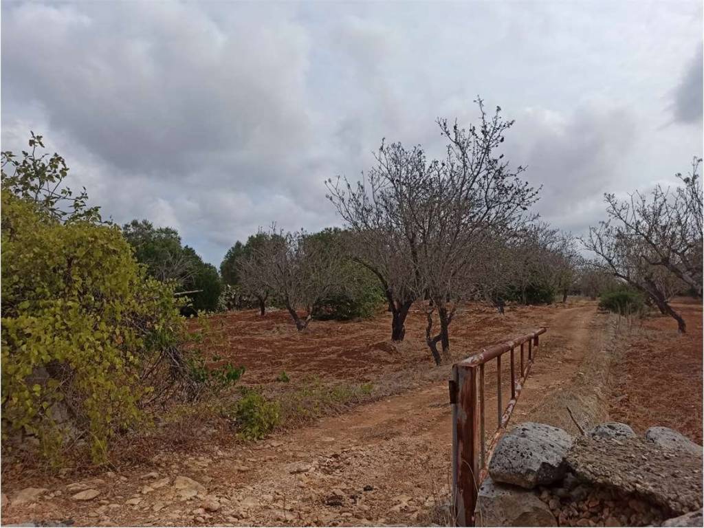 Terreno a Carovigno - Foto 5
