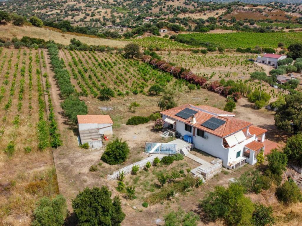 Villa a Oliena in Loc. Sa Badde de sa Figu - Foto 2