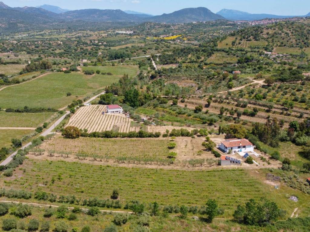 Villa a Oliena in Loc. Sa Badde de sa Figu - Foto 3