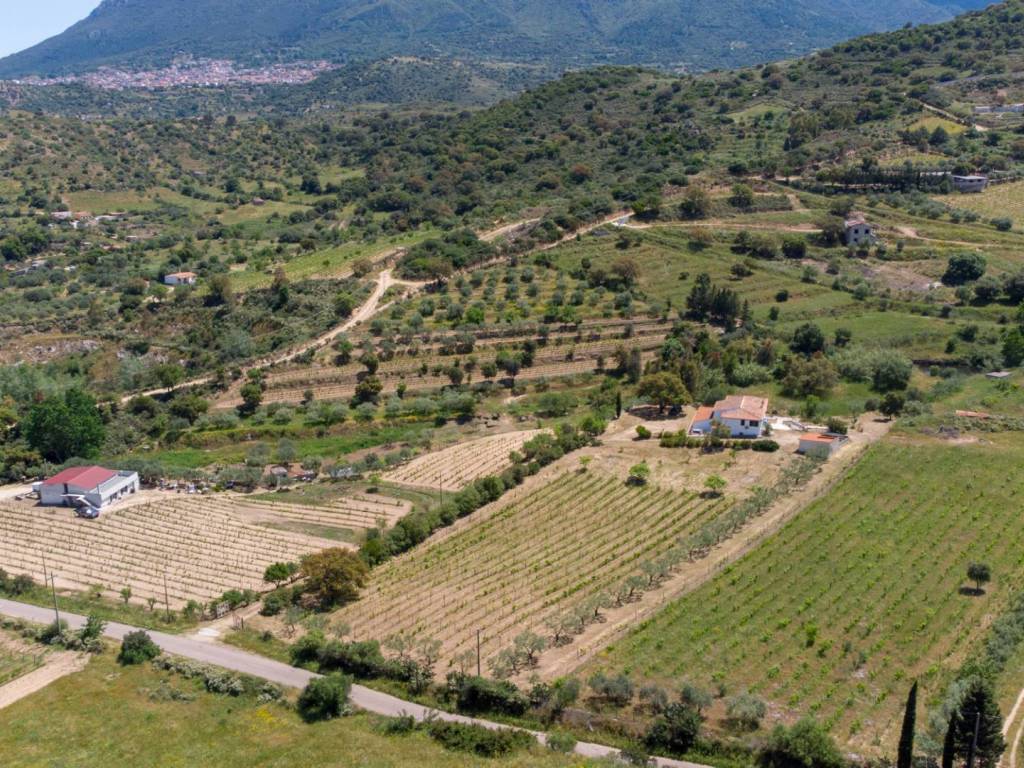 Villa a Oliena in Loc. Sa Badde de sa Figu - Foto 4