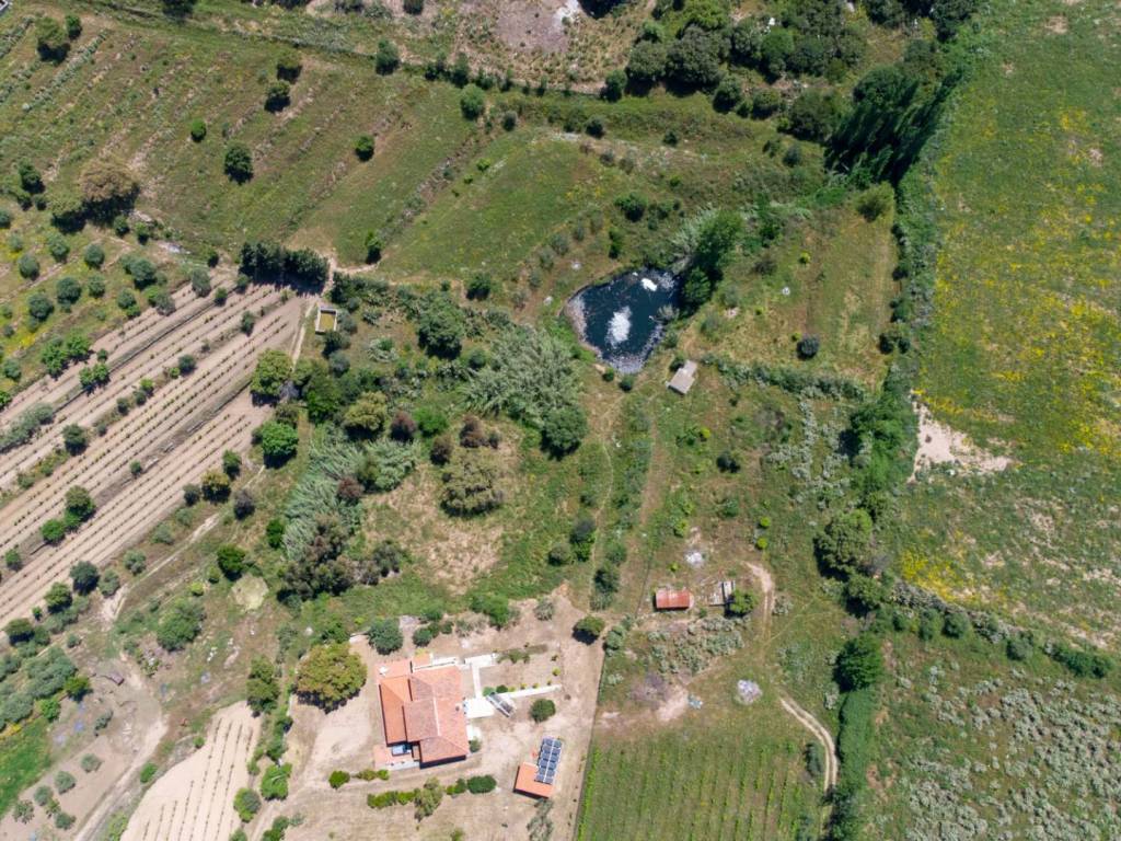 Villa a Oliena in Loc. Sa Badde de sa Figu - Foto 5