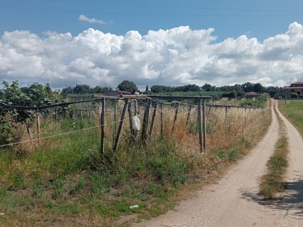 Terreno a Cisterna di latina in Corso della Repubblica - Foto 2