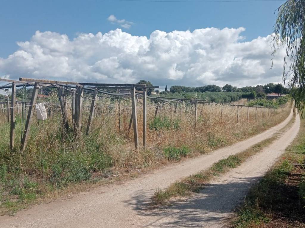 Terreno a Cisterna di latina in Corso della Repubblica - Foto 5