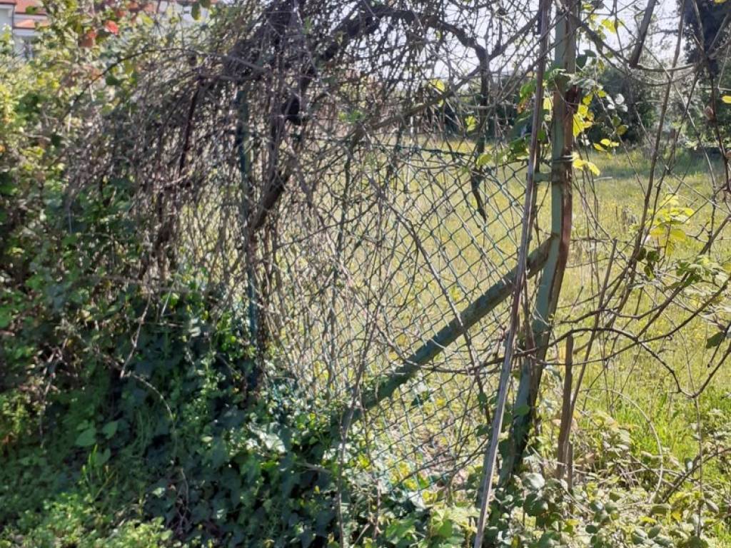 Terreno a San clemente in VIA TAVOLETO - Foto 3