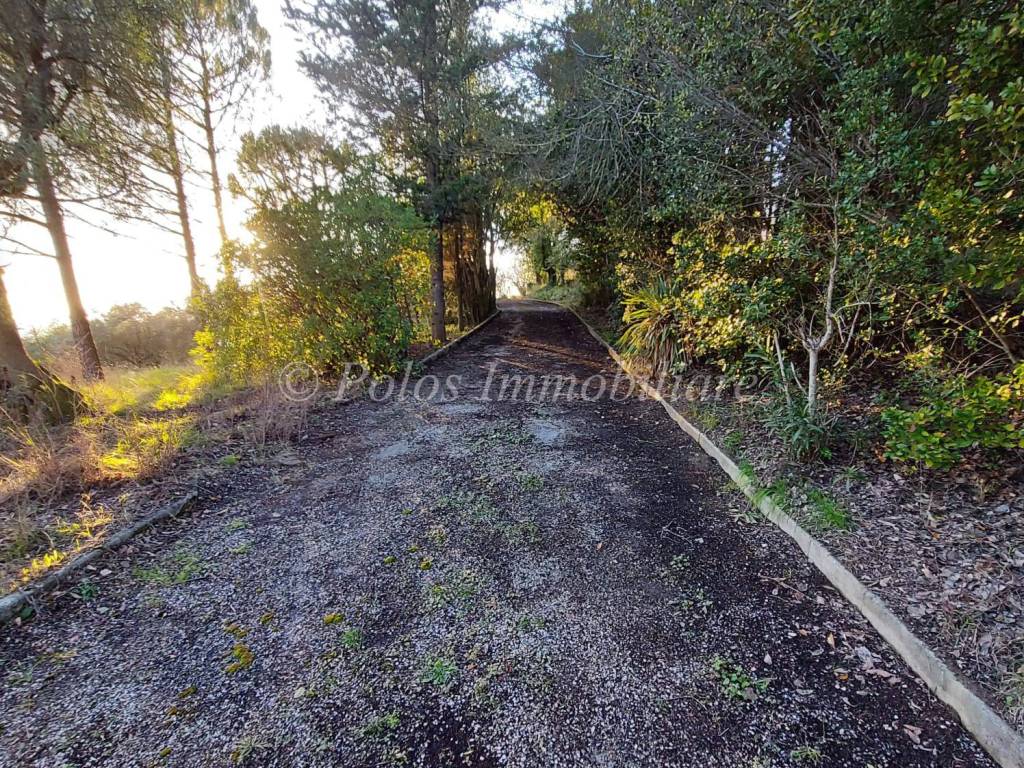Villa a Corridonia in Località Casciano 6 - Foto 5