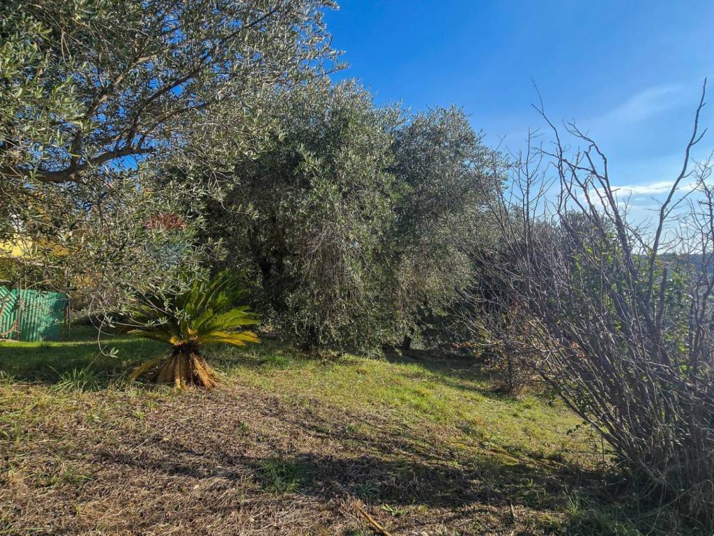 Casa indipendente a Spoltore in Via Valle Monte, 1 - Foto 4