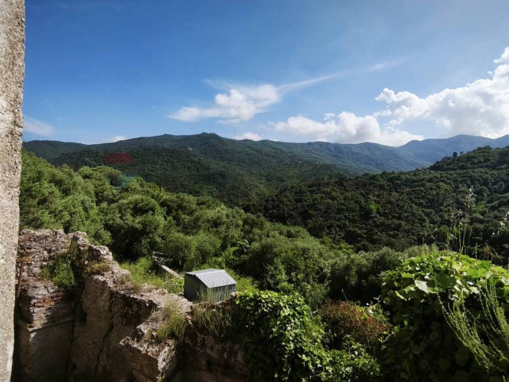 Terreno a Quiliano - Foto 2