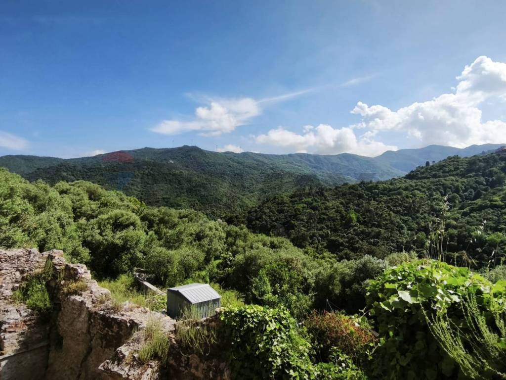 Terreno a Quiliano - Foto 4