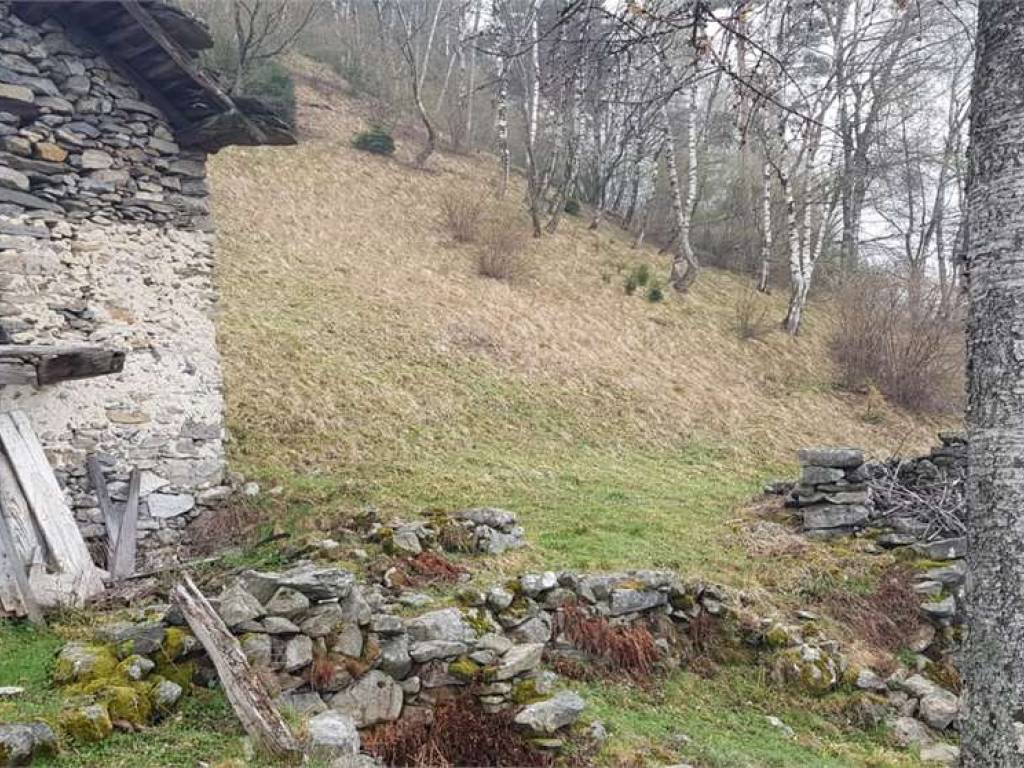 Rustico / casale a Prata camportaccio in Monti di Lottano - Foto 3