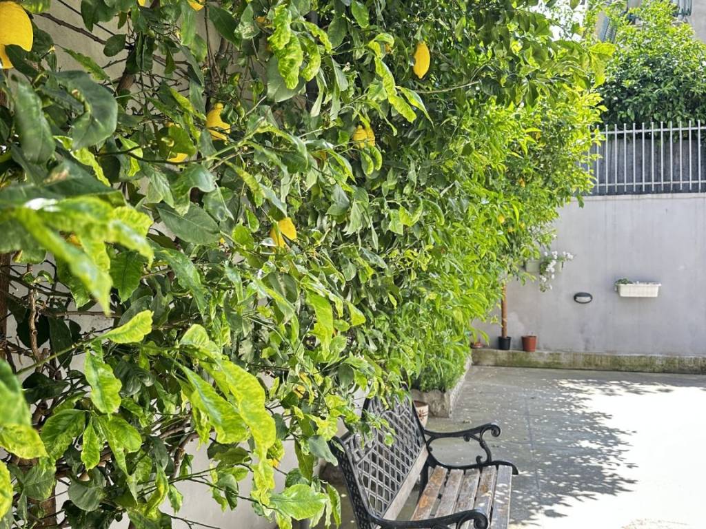 Palazzo / stabile a Maddaloni in Via Emanuele Campolongo, 146 - Foto 5