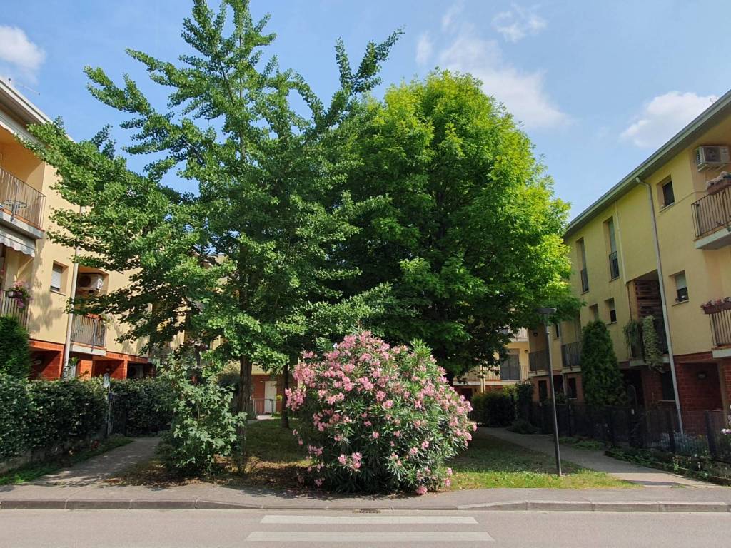 Appartamento a Vicenza in Via Pier Luigi Nervi, 26 - Foto 3