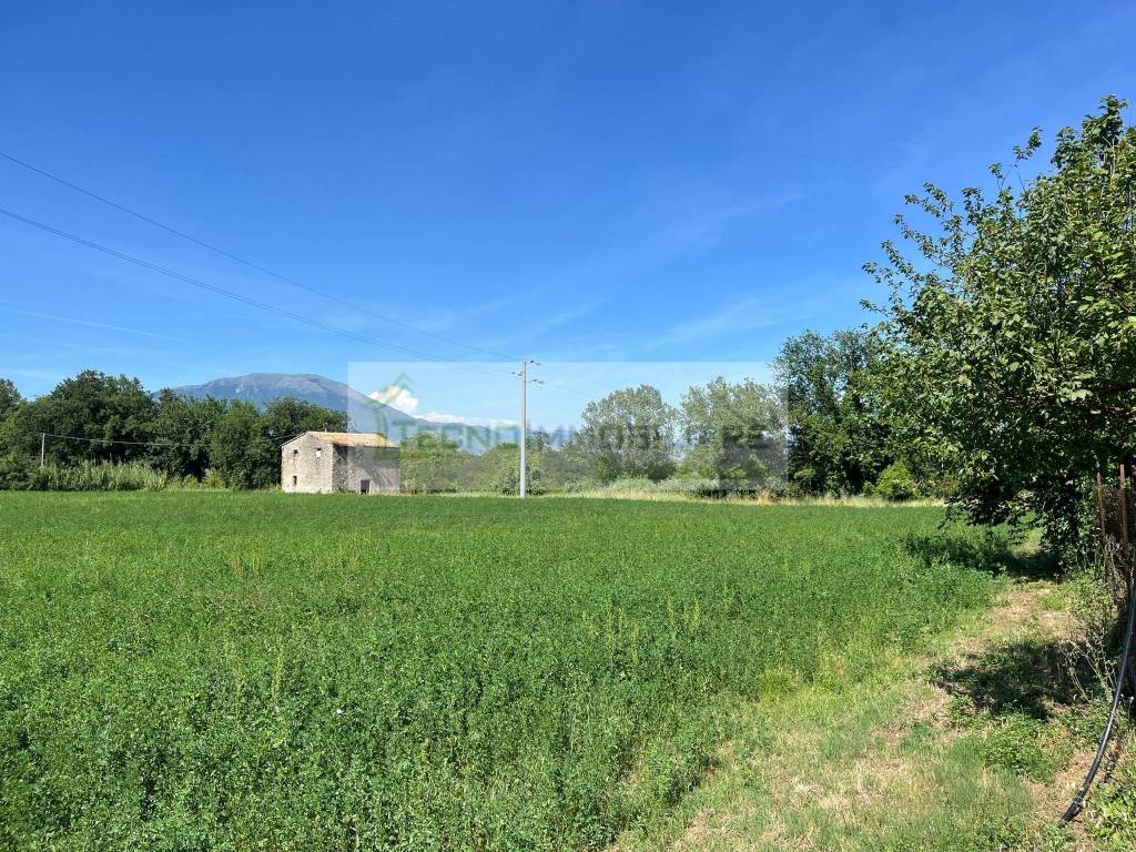 Rustico / casale a Pontecorvo in Contrada Ponte Teano - Foto 3