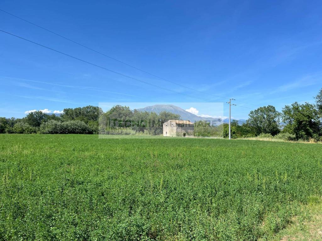 Rustico / casale a Pontecorvo in Contrada Ponte Teano - Foto 4