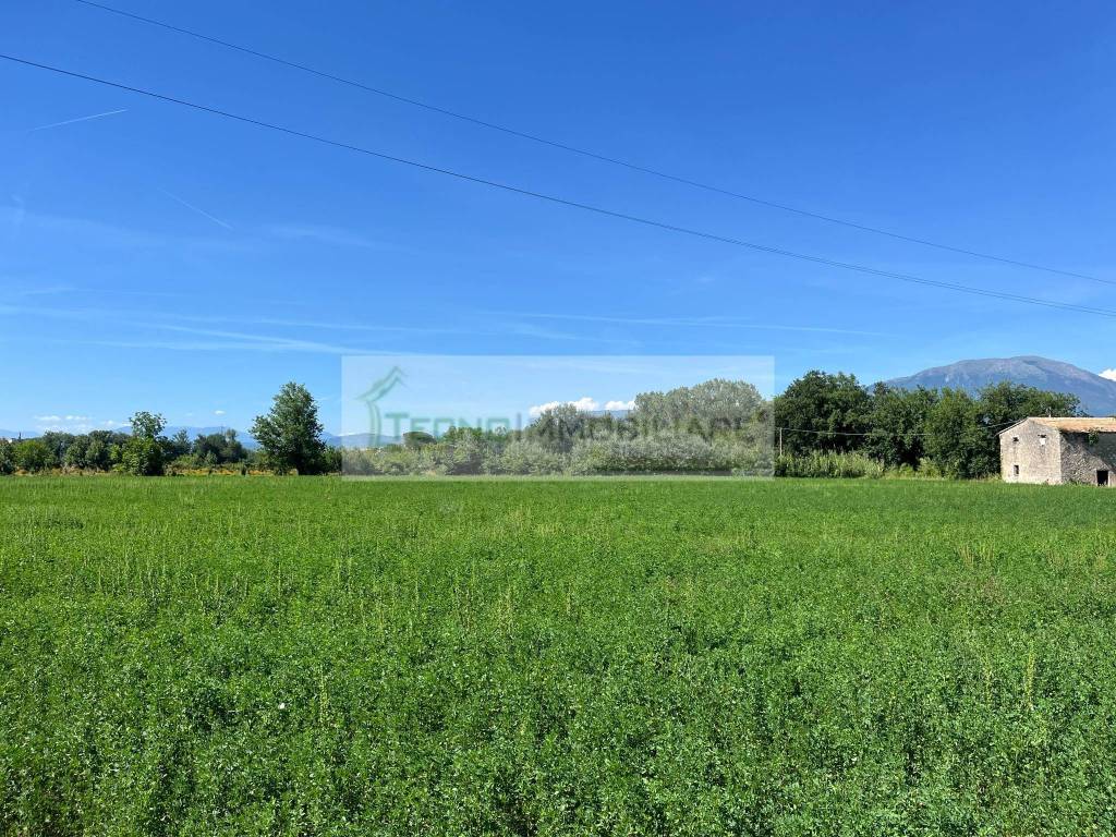 Rustico / casale a Pontecorvo in Contrada Ponte Teano - Foto 5
