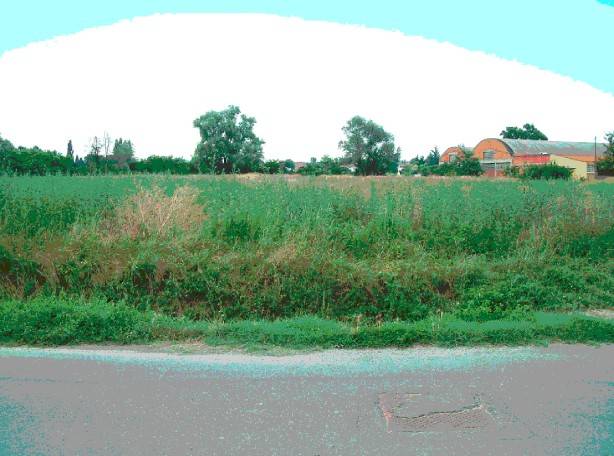 Terreno a Alessandria in Strada Vecchia Castello - Foto 3