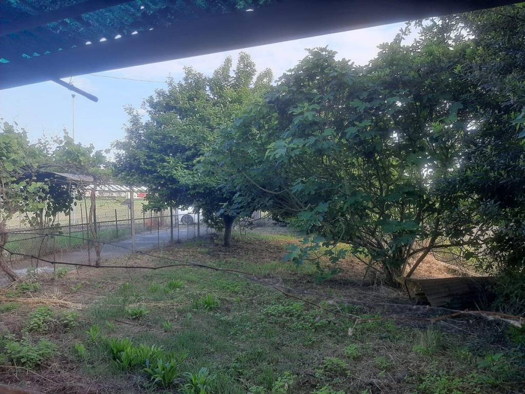 Villa a Porto viro in Via Luigi Savoia - Foto 5