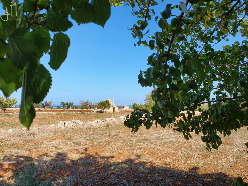 Rustico / casale a Polignano a mare in Strada Comunale Santa Barbara - Foto 2