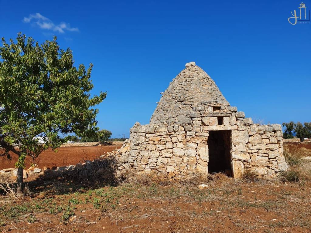 Rustico / casale a Polignano a mare in Strada Comunale Santa Barbara - Foto 4