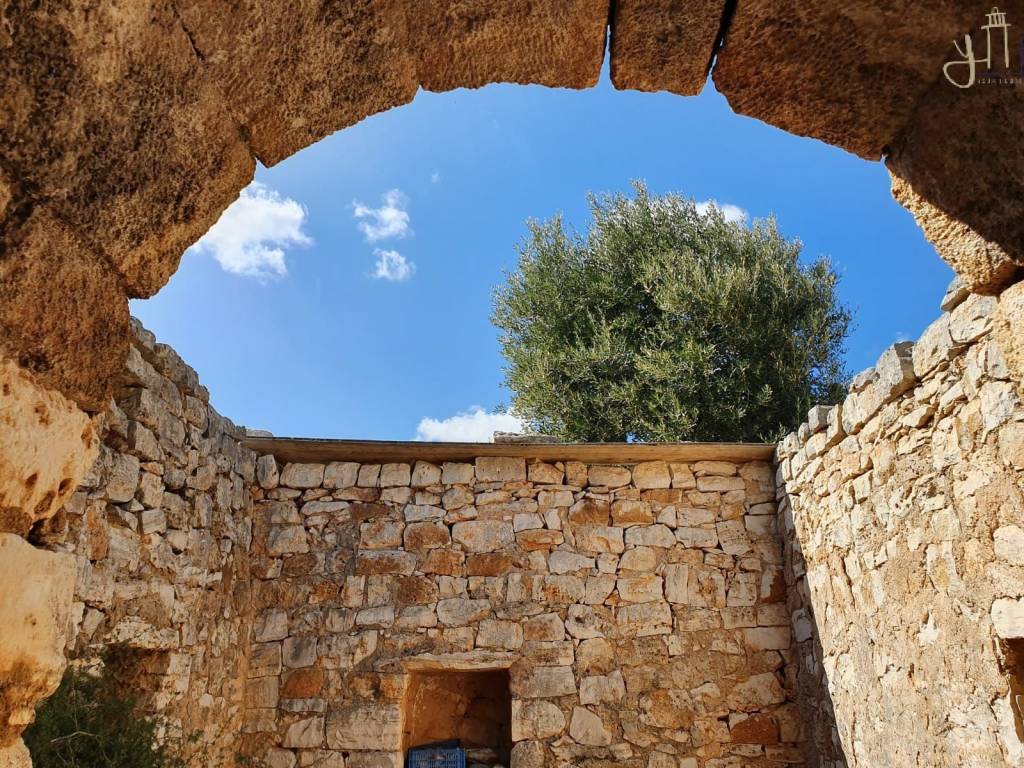 Rustico / casale a Polignano a mare in Strada Comunale Santa Barbara - Foto 5