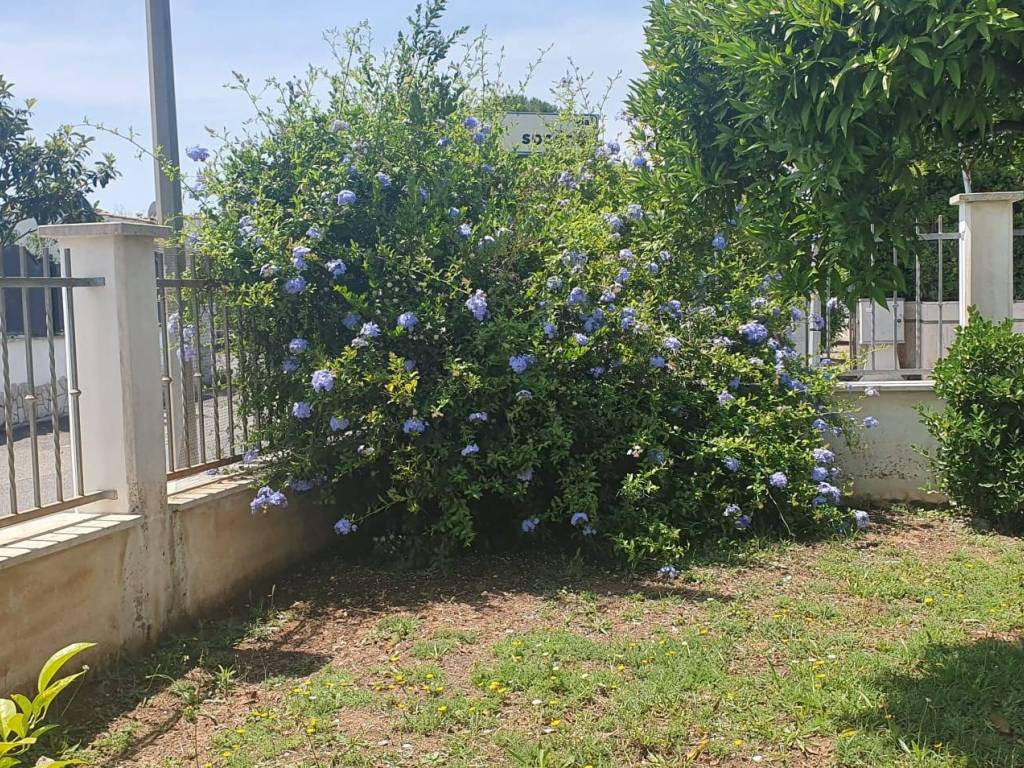 Villa a Sabaudia in Via Grecia - Foto 4