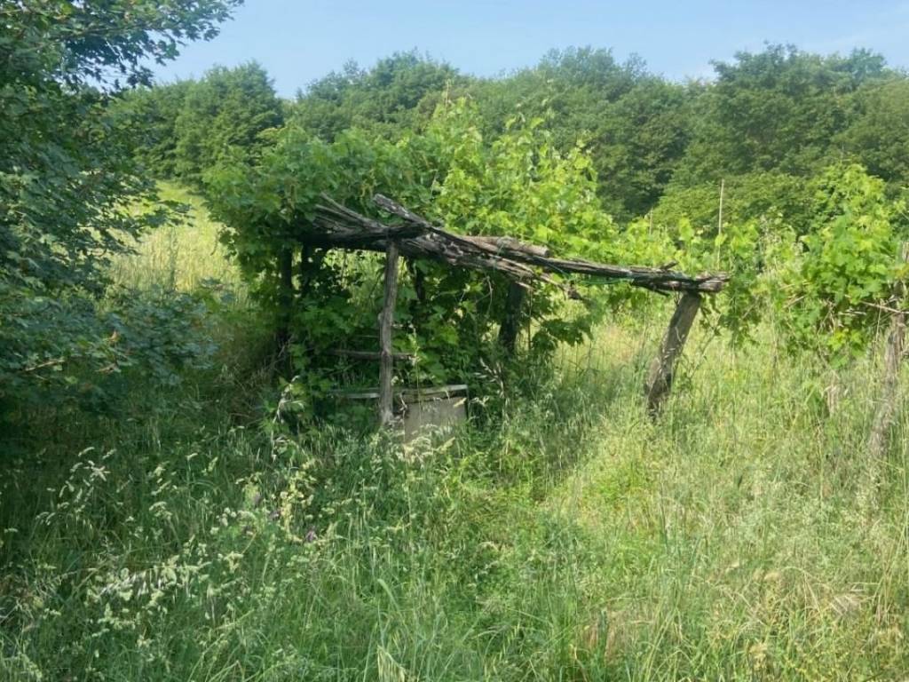 Rustico / casale a Roccastrada - Foto 2