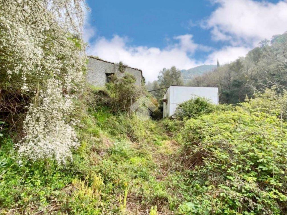 Rustico / casale a Bordighera in Via Silvio Pellico - Foto 2