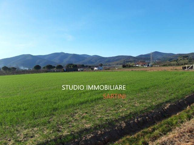 Terreno a Castiglione della pescaia - Foto 3